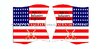 American - Flags - Motif 003 US Infantry 8th Regiment