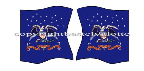 American flags-motif 145 Volunteer Regiment Infantry