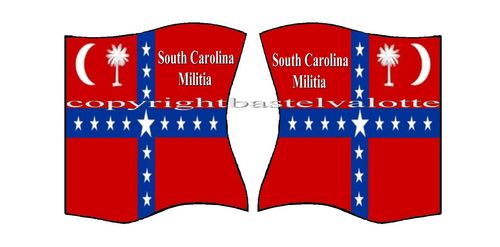 Amerikanische - Flaggen - Motiv 158 South Carolina Militia