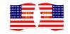 American flags-from  motif 165 112th REG NYSV