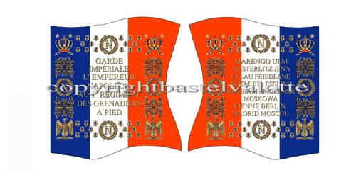 Flags Set 1498 French 1st Foot Grenadier Regiment of the Imperial Guard Napoleon  1812-1814