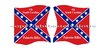 American flags-from  motif 210 4th South Carolina Palmetto Rifles